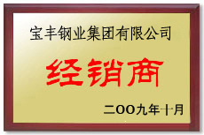 通道宝丰经销商